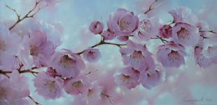 сакура Сингатуллин М.