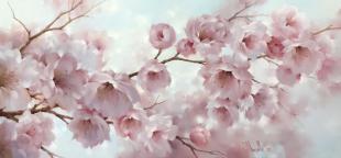 Сакура в цвету 325