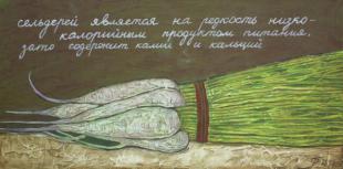 Сельдерей 189