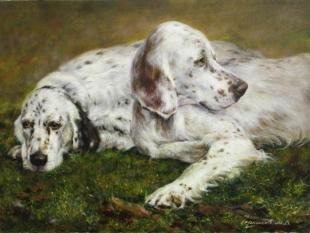 Сеттеры Чернышов М.В.