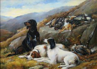 Сеттеры после утренней охоты 205