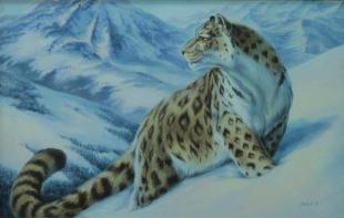 снежный барс 296