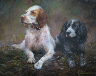 Спаниэли Чернышов М.В.