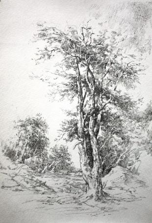 Сплетение 143