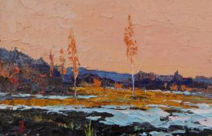 Тёплый снег 262