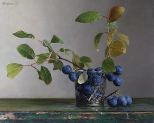 Терновник 208