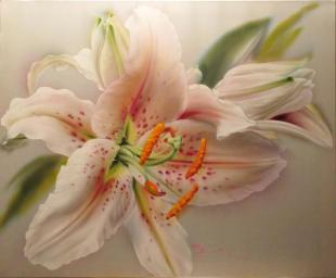 Тигровая лилия 181