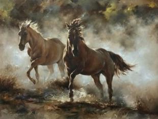 Утреннее солнце 325