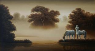 Утро. Туман 45