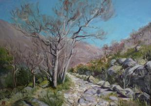 Весеннее небо 75