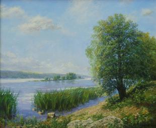 Вид на Волгу 200