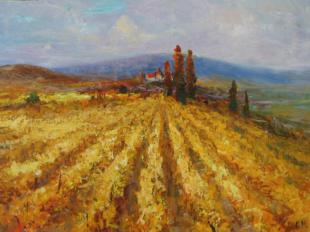 Виноградники Тосканы 104