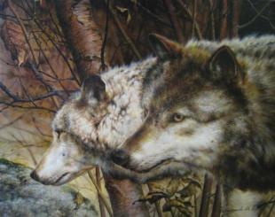 Волки Чернышов М.В.