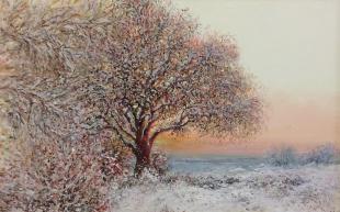 Загадочное дерево 212