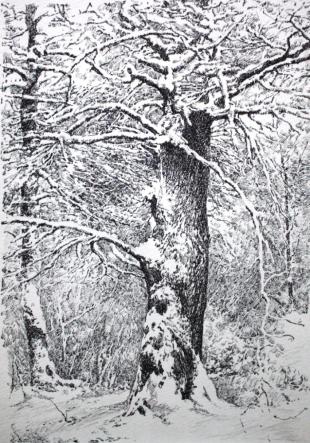 Зима. Дерево 143